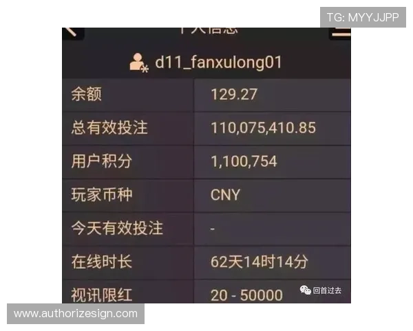 如何选择适合自己的百家乐模拟软件提升游戏体验与盈利能力的实用指南